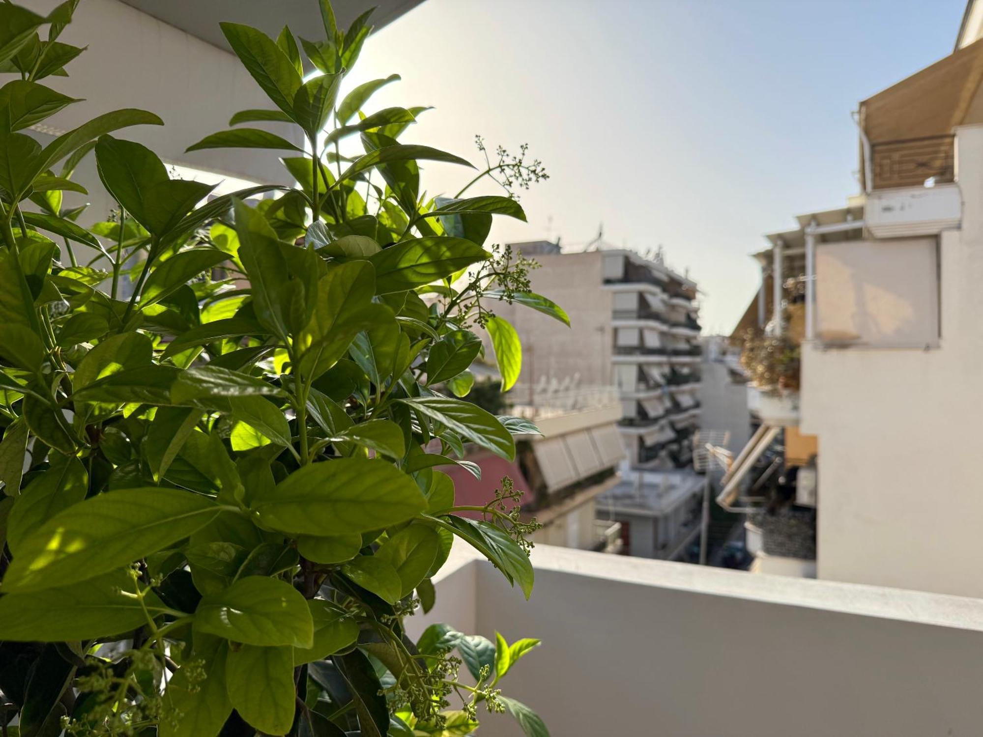 P&P Boutique Apartments Athen Eksteriør billede