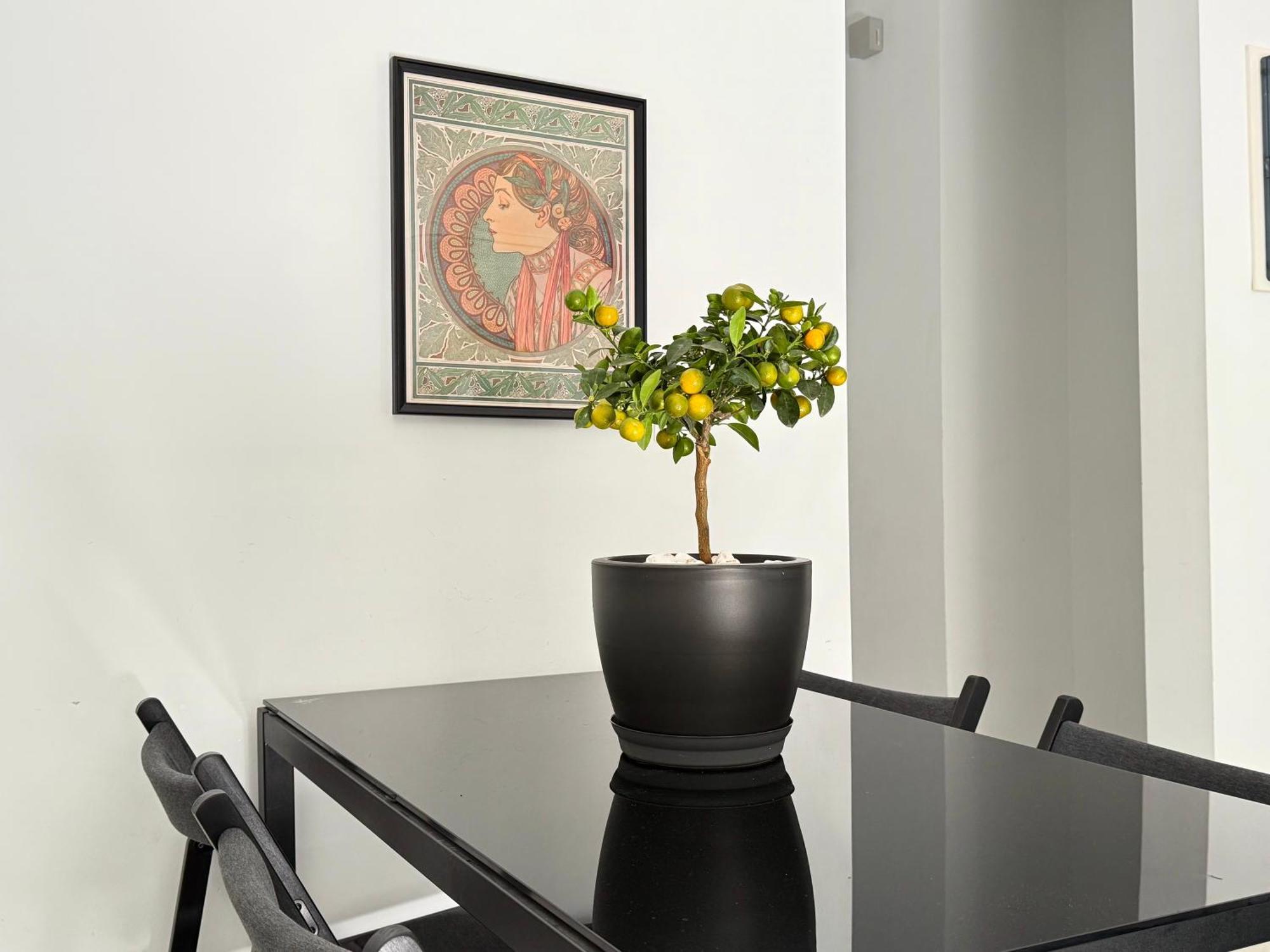 P&P Boutique Apartments Athen Eksteriør billede